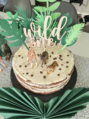 Caketopper Wild One